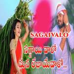 Sagaivalo