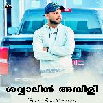 Shavvalin Ambili