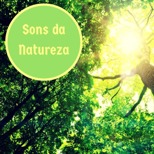Meditação Clube cover art