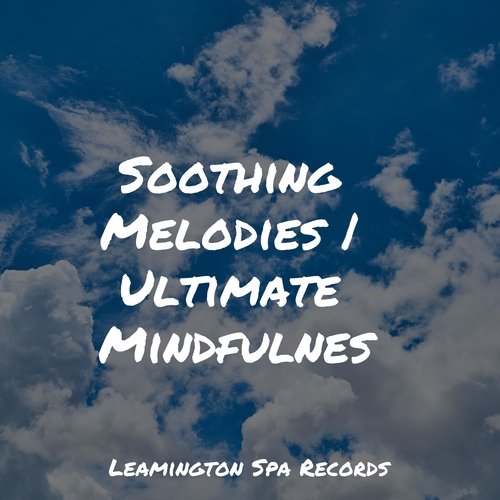 Calming New Age cover art