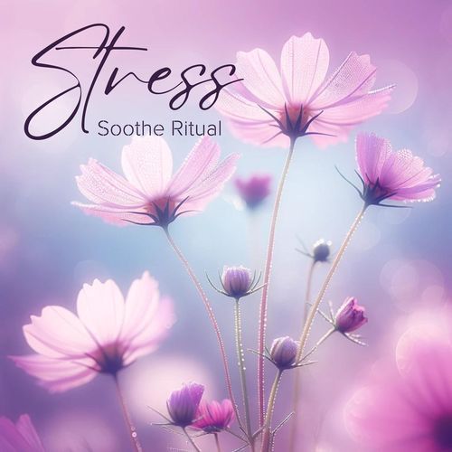 Nordic Relaxation cover art