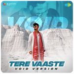 Tere Vaaste - VOID Version artwork