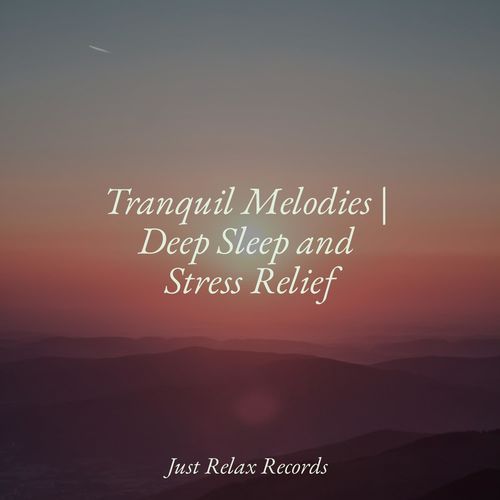 Wistful Haze Melody cover art