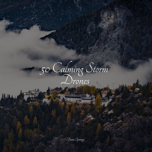 Rain, Storm and Thunder cover art