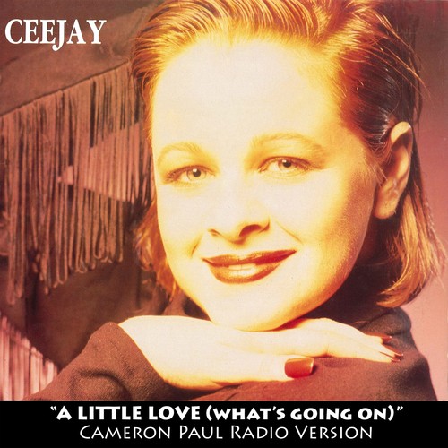 A Little Love (What's Goin' On) (Cameron Paul Radio Version)
