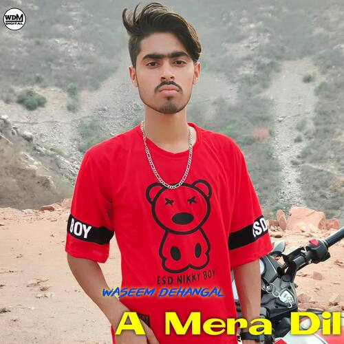 A Mera Dil