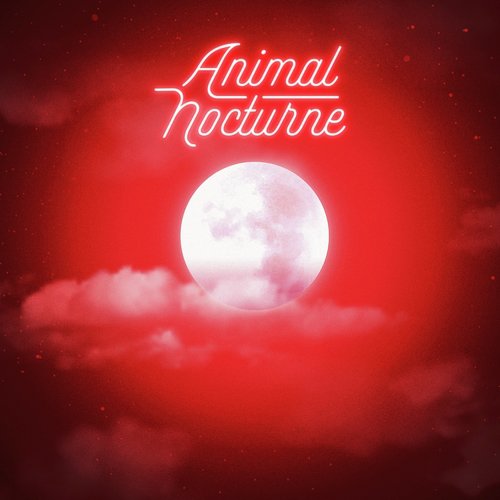 Animal nocturne