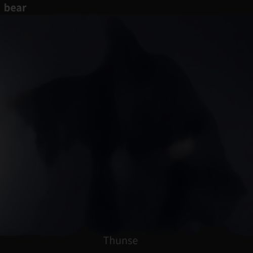 Bear