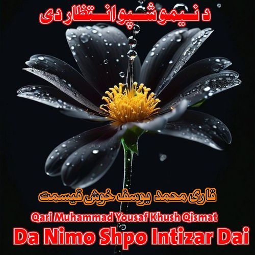 DA Nimo Shpo Intizar Dai