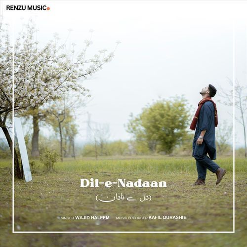 Dil E Nadaan