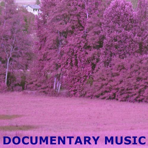 Documentary Music