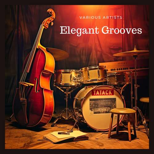 Elegant Grooves (Music from a brilliant Century)_poster_image