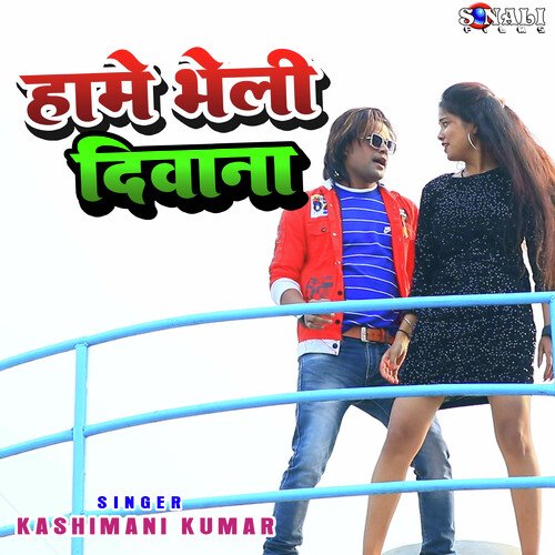 Hame Bheli Diwana cover art