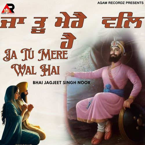 Ja Tu Mere Wal Hai