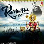 Koi Nhi Hai Tum Bin Mera