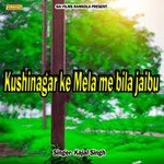 Kushinagar ke Mela me bila jaibu