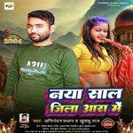 Naya Saal Jila Ara Me