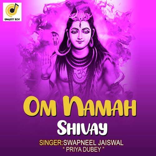 Om Namah Shivay (Bhajan)