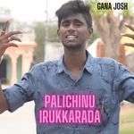 Palichinu Irukkarada