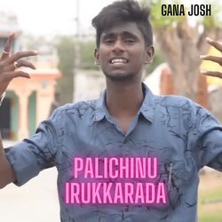 Palichinu Irukkarada