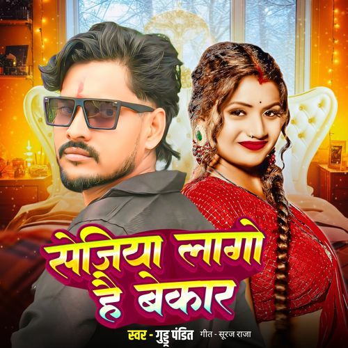 Sejiya Lago Hai Bekar cover art