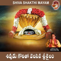 Shivudu Gouri Tho Velasina Srishailam (Shiva Shakthi Mayam)-RVEZaTsdAgs