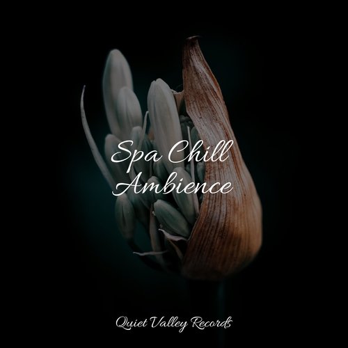 Spa Chill Ambience_poster_image