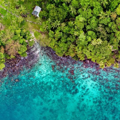 Stunning Sounds | Meditation Focus