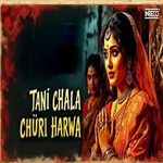 Tani Chala Churi Harwa
