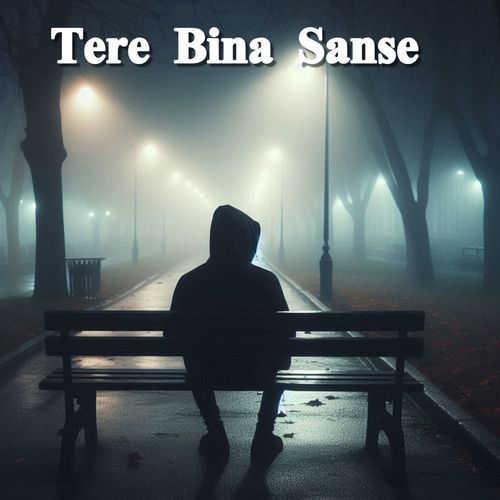 Tere Bina Sanse