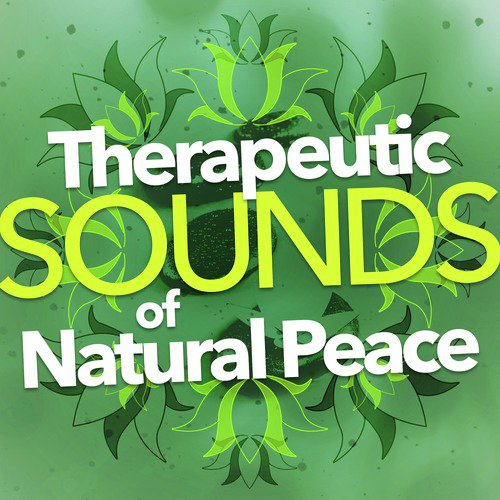 Therapeutic Sounds of Natural Peace_poster_image