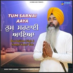 Tum Sarnai Aaya-JjocdA5RQWY