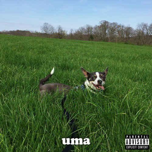 Benjamin cover art