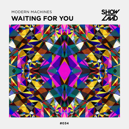 Waiting For You_poster_image