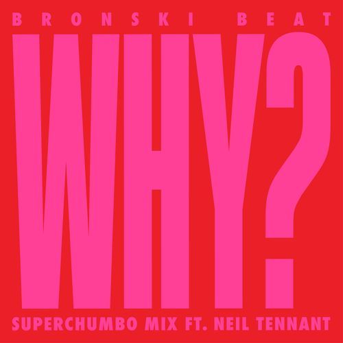 Why? (feat. Neil Tennant) (Superchumbo Mix)