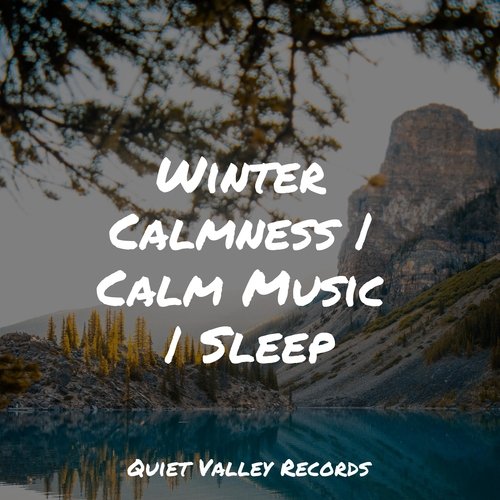 Winter Calmness | Calm Music | Sleep