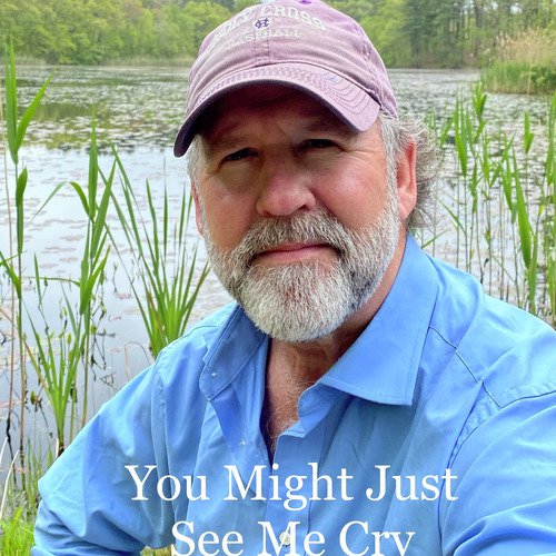 You Might Just See Me Cry_poster_image