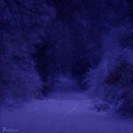 a blue forest artwork