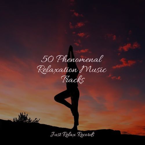 50 Phenomenal Relaxation Music Tracks