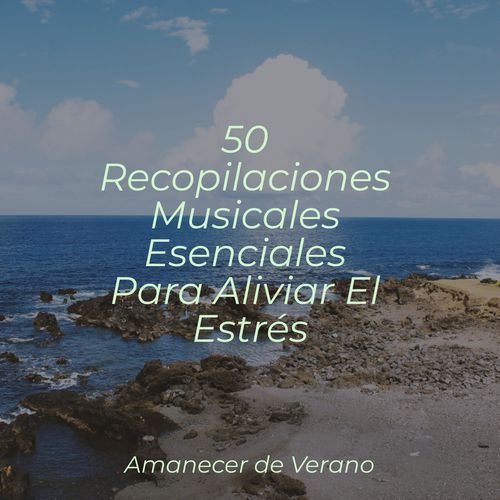 50 Recopilaciones Musicales Esenciales Para Aliviar El Estrés