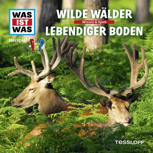 Waldvögel: Kleiber, Waldkauz cover art