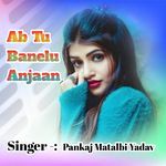 Ab Tu Banelu Anjaan