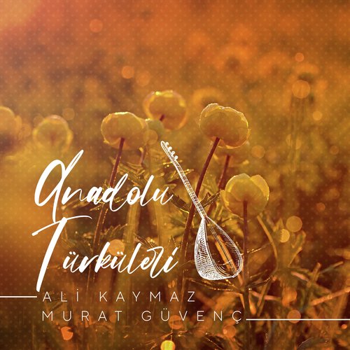 Saçını Taramış cover art
