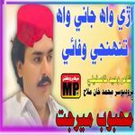 Aray WAh Jani Wah Tuhnji Wafai