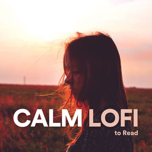 Calm Lofi to Read_poster_image