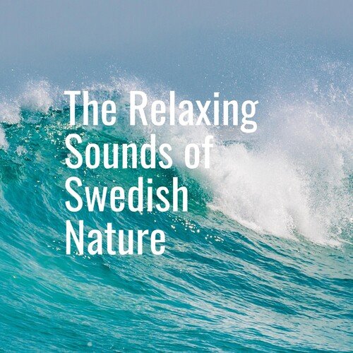 Calming Waves_poster_image