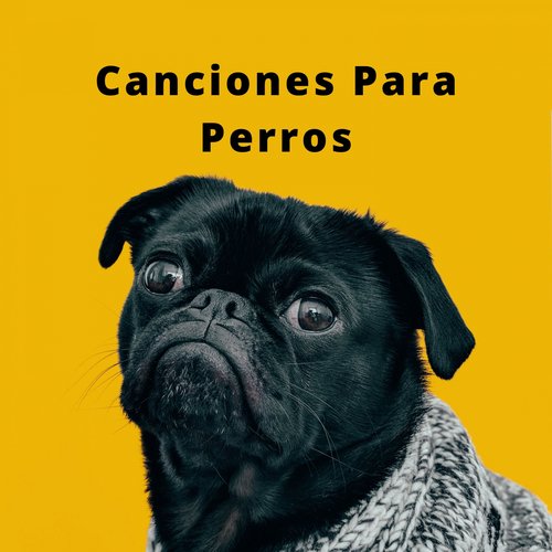 Canciones Para Perros