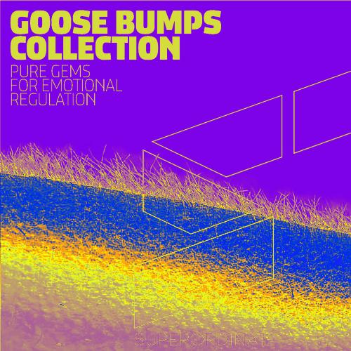 Goose Bumps Collection, Vol. 7