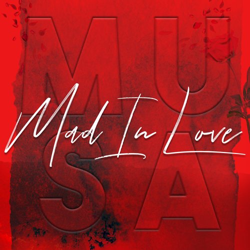 Mad In Love_poster_image