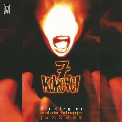 Junkeez cover art